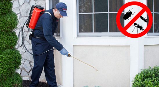 Gölhisar Bit İlaçlama böcek ilaçlama ve haşere kontrolü — ilaclama-tr.com